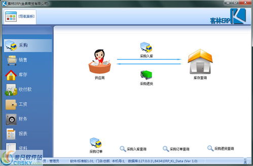 erp软件 非凡软件站